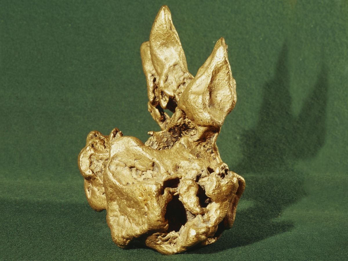 Самородок «Заячьи уши» в Алмазном фонде