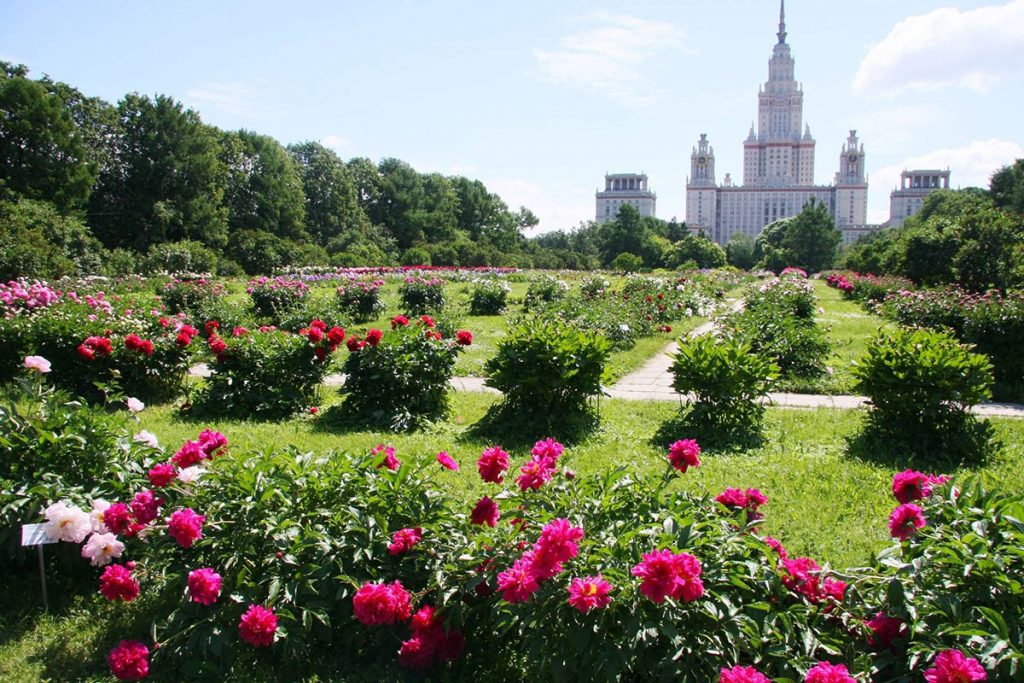 Ботанический сад МГУ в Москве