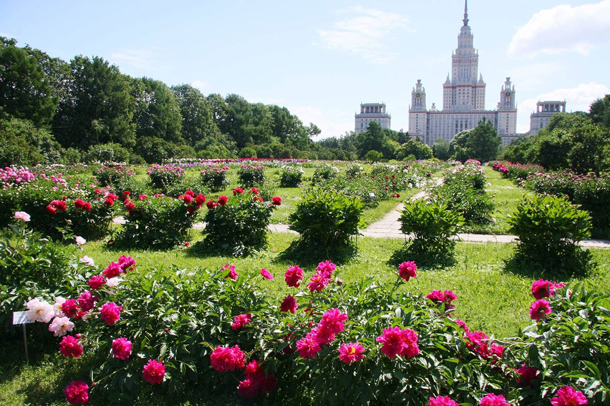 Ботанический сад МГУ Москва