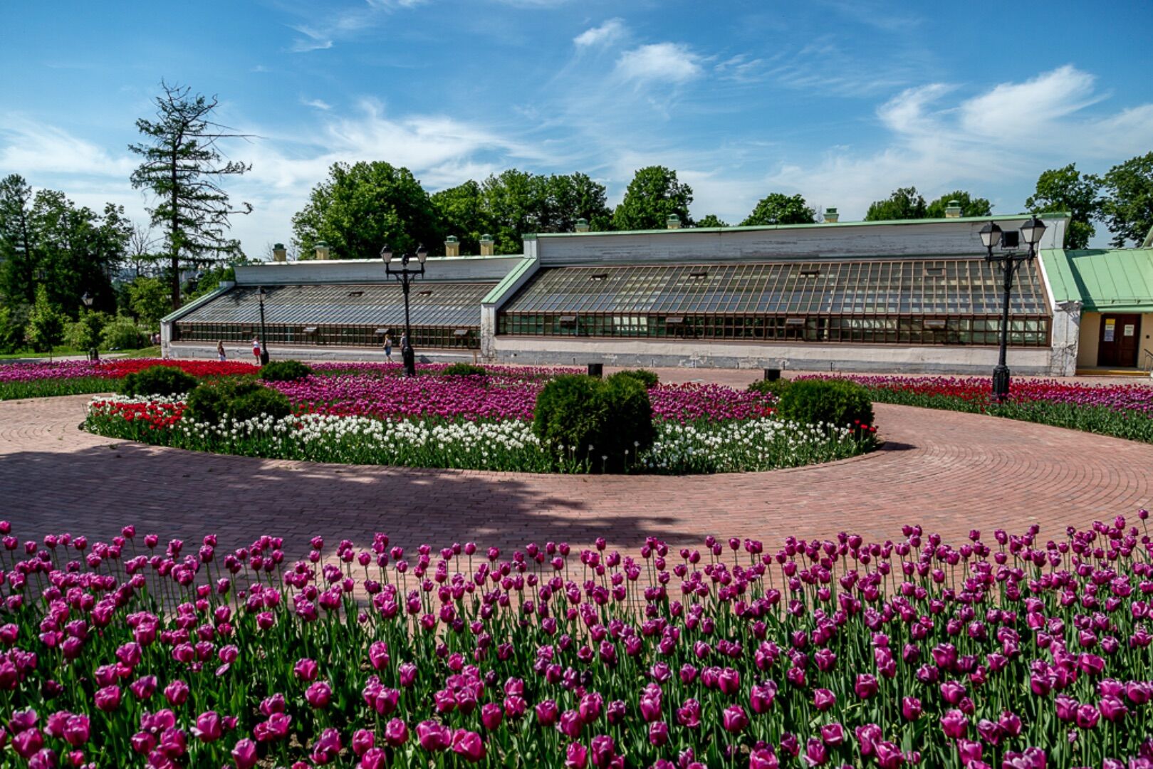 Оранжереи в Царицыно